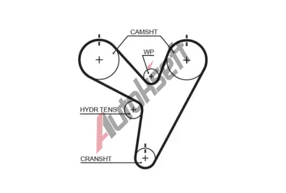 GATES Ozuben emen PowerGrip GT 5674XS, 5674XS