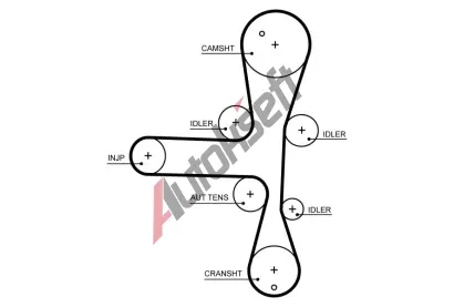 GATES ozuben emen PowerGrip GT 5701XS, 5701XS