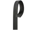 Ozuben klnov emen GATES ‐ GT 7DPK2884