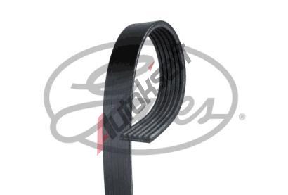 GATES Ozuben� kl�nov� �emen Micro-V� GT K060980GS, K060980GS