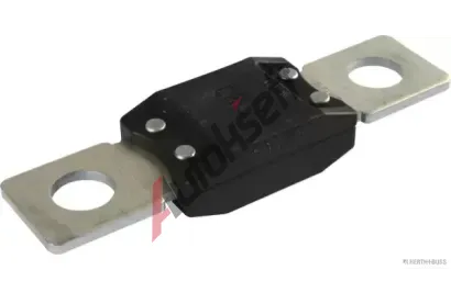 HERTH+BUSS ELPARTS Pojistka HB 50295842, 50295842