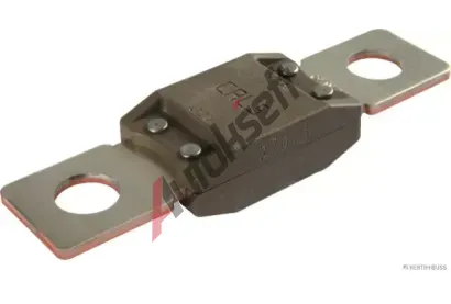 HERTH+BUSS ELPARTS Pojistka HB 50295845, 50295845