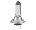 HELLA rovka H7 12V 55W PX26d HE 8GH007157-121, 8GH 007 157-121