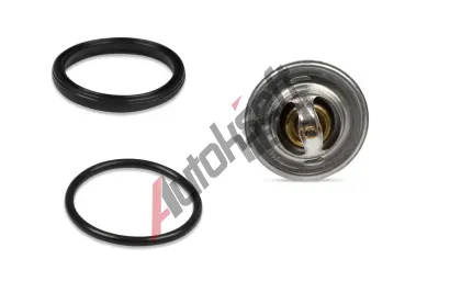 HEPU Termostat chladiva HEP TM1305, TM1305