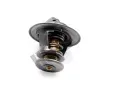 HEPU Termostat chladiva HEP TM1317, TM1317