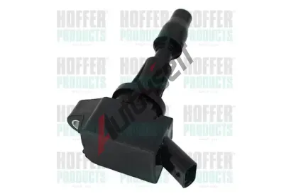 HOFFER Zapalovac cvka HFR 8010824, 8010824