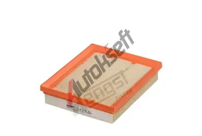 HENGST FILTER Vzduchov filtr HGF E2183L, E2183L