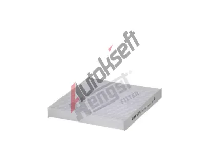 HENGST FILTER Filtr vzduchu v interiru HGF E3974LI, E3974LI