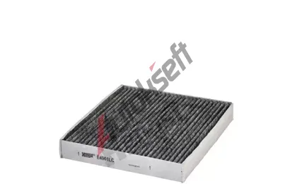 HENGST FILTER Filtr vzduchu v interiru HGF E4961LC, E4961LC