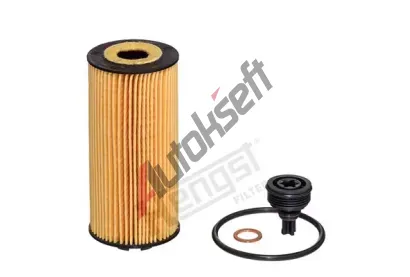 HENGST FILTER Olejov filtr HGF E951H D497, E951H D497
