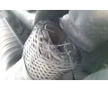 HJS Prun dl vfuku HJS 83 00 8472, 83 00 8472