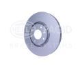 HELLA PAGID Brzdov kotou PRO - 302 mm HPG 8DD 355 111-321, 8DD 355 111-321