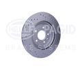 HELLA PAGID Brzdov kotou PRO - 315 mm HPG 8DD 355 126-391, 8DD 355 126-391