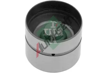 INA Zdvihtko ventilu IN 420005010, 420 0050 10