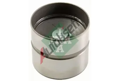 INA Zdvihtko ventilu IN 420025510, 420 0255 10
