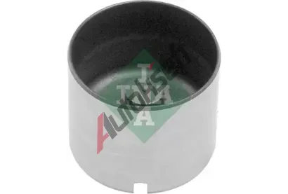 INA Zdvihtko ventilu IN 421000510, 421 0005 10