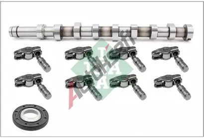 INA Sada vačkového hřídele IN 428005630, 428 0056 30 INA Sada vačkového hřídele IN 428005630, 428 0056 30