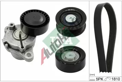 INA Sada dr�kov�ch kl�nov�ch �emen� IN 529029910, 529 0299 10