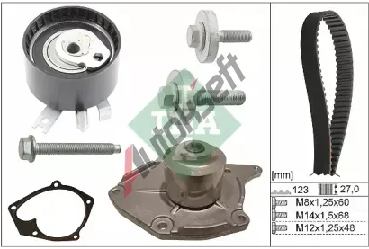 INA Vodn pumpa - sada ozubenho emene IN 530019731, 530 0197 31