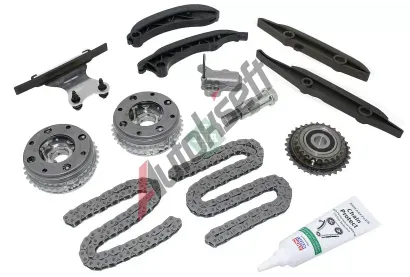 INA Sada rozvodového řetězu IN 559100732, 559 1007 32 INA Sada rozvodového řetězu IN 559100732, 559 1007 32