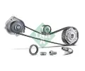 INA Sada pro sezen vakovho hdele INA Engine KIT ‐ IN 560000410