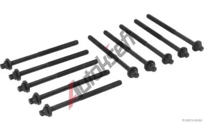 HERTH+BUSS JAKOPARTS Sada roub pro hlavy vlc JAK J1280903, J1280903