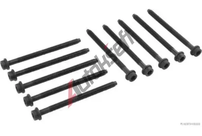 HERTH+BUSS JAKOPARTS Sada roub pro hlavy vlc JAK J1283000, J1283000