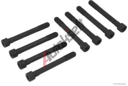HERTH+BUSS JAKOPARTS Sada roub pro hlavy vlc JAK J1285000, J1285000