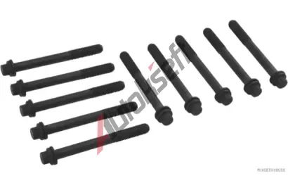 HERTH+BUSS JAKOPARTS Sada roub pro hlavy vlc JAK J1288005, J1288005