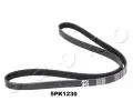 Ozuben� kl�nov� �emen&nbsp;JAPKO&nbsp;&dash;&nbsp;JPK 5PK1230