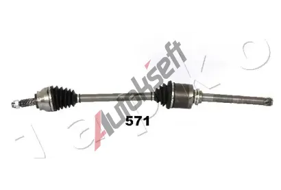 JAPKO Hnac� h��del JPK 62571, 62571