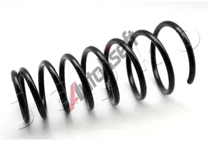 JAPKO Pru�ina podvozku JPK ZCJ6117I, ZCJ6117I