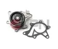 JPN Vodn� �erpadlo, chlazen� motoru&nbsp;&dash;&nbsp;JPN 10C2107-JPN