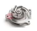 JPN Vodn� �erpadlo, chlazen� motoru&nbsp;&dash;&nbsp;JPN 10C9030-JPN