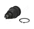 ep ramene JAPANPARTS ‐ JPP BJ-407