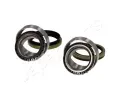 JAPANPARTS Sada loiska kola JPP KK-10303, KK-10303