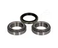 JAPANPARTS Sada loiska kola JPP KK-18001, KK-18001