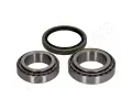 JAPANPARTS Sada loiska kola JPP KK-19001, KK19001