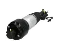 JAPANPARTS Vzduchov vzpra JPP MM-AS039, MM-AS039