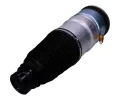 JAPANPARTS Vzduchová vzpěra JPP MM-AS296, MM-AS296
