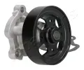 JAPANPARTS Vodn erpadlo JPP PQ-176, PQ-176