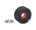 JAPANPARTS Vratn / vodic kladka drkovho klnovho emenu JPP RP-403, RP-403