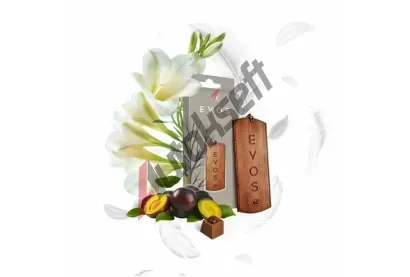 K2 Osvěžovač EVOS GRACE ANGEL - dřevěná vonná visačka K2 V041, V041 K2 Osvěžovač EVOS GRACE ANGEL - dřevěná vonná visačka K2 V041, V041