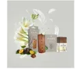 K2 Parf�m do auta EVOS GRACE Perfume Angel 50ml K2 V061, V061