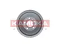 KAMOKA Brzdov buben 254 mm KAM 104001, 104001