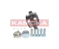 KAMOKA Sada loiska kola KAM 5500138, 5500138