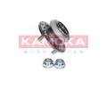 KAMOKA Sada ložiska kola KAM 5500146, 5500146
