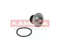 KAMOKA Termostat chladiva KAM 7710047, 7710047