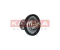 KAMOKA Termostat chladiva KAM 7710059, 7710059