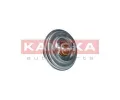 KAMOKA Termostat chladiva KAM 7710064, 7710064